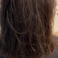 Frizzy unmanageable hair before INTECH Professional Organic Smoothing Hair Mask treatment showing natural texture needing smoothing